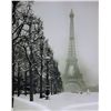 Image 1 : Winter at Eiffel Tower