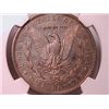 Image 2 : 1886-S Morgan Dollar XF45 NGC