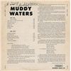 Image 1 : Muddy Waters