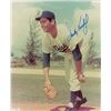 Image 1 : Sandy Koufax