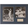 Image 1 : Ted Williams