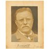 Image 1 : Theodore Roosevelt