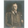 Image 1 : Theodore Roosevelt