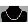 Image 1 : 136.90CTW Mutli Color Freshwater Pearl Necklace