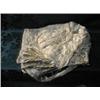 Image 1 : A Gossamer silk shawl and bullion work silk panel, both (AF).