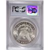 Image 4 : 1878 8TF MORGAN DOLLAR PCGS MS 63