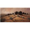Image 1 : Wildfire by Long, Ted