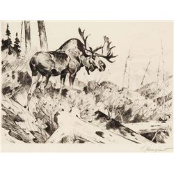 Browsing by Rungius, Carl