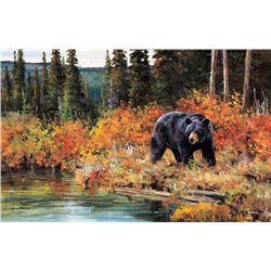 Tangle of Color - Black Bear by Carlson, Ken