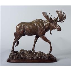 Wanderer by Shinabarger, Tim