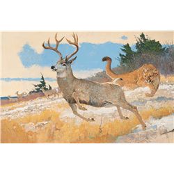 High Stakes Race by Kuhn, Bob