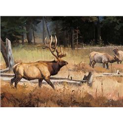 Arizona Roundup by Frazier, Luke