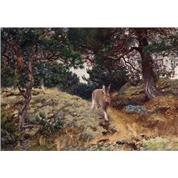 Winter Hare 1914 by Liljefors, Bruno