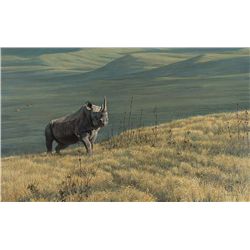 Rhino at Ngoro Ngoro by Bateman, Robert