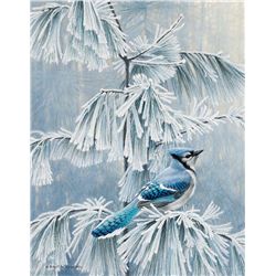 Frosty Morn Blue Jay by Bateman, Robert