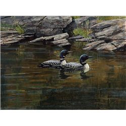 A Pair of Loons by Bateman, Robert