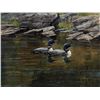 Image 1 : A Pair of Loons by Bateman, Robert
