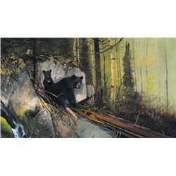 In the Woods by Coleman, Michael