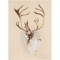 Caribou by Coleman, Michael