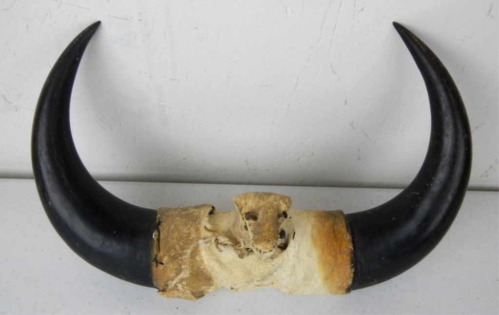 Sioux Buffalo Horn Effigy
