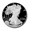 Image 1 : Proof Silver Eagle 1996-P