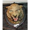 Image 1 : A "growling" leopard's head mounted on plaque