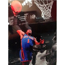 NY KNICKS AMARE STOUDEMIERE 16x20 Custom Framed