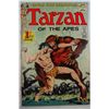 Image 1 : TARZAN of the APES 1972 #207 Issue