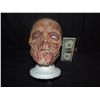 Image 1 : ROTTEN ZOMBIE MUMMY FULL FACE WEARABLE LATEX MASK PAINTED
