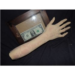 SEVERED BLOODY ARM WITH HAND AND GORE AT STUMP 6 URETHANE LATEX OR POLY FOAM