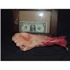 Image 1 : SEVERED BLOODY ARM WITH HAND AND GORE AT STUMP 12 URETHANE LATEX OR POLY FOAM
