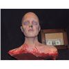 Image 1 : SEVERED COMPLETE HEAD WITH GORE 19 URETHANE LATEX OR POLY FOAM