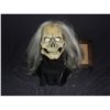 Image 1 : SCREAMING SKULL FULL HEAD MASK WITH LONG HAIR ON FORM FIT SOCK WEARABLE!