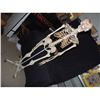 Image 1 : COMPLETE SKELETON MEDICAL GRADE WITH ROLLING STAND GOOD AS IT GETS SHORT OF REAL!