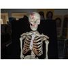 Image 2 : COMPLETE SKELETON MEDICAL GRADE WITH ROLLING STAND GOOD AS IT GETS SHORT OF REAL!