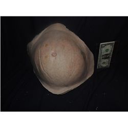 WEARABLE FEMALE PREGNANT BELLY TORSO TUMMY NO RESERVE!