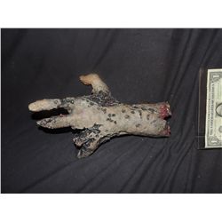 CABIN FEVER PATIENT ZERO SEVERED HAND WITH FLESH EATING BACTERIA 2 SCREEN USED