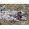 Image 3 : BIG GOOT YETI ABOMINABLE SNOWMAN SASQUACH CREATURE COSTUME