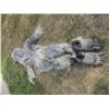 Image 4 : BIG GOOT YETI ABOMINABLE SNOWMAN SASQUACH CREATURE COSTUME