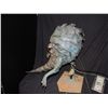 Image 2 : ANIMATRONIC ALIEN SHRIMP CREATURE PUPPET WITH CABLES INTACT
