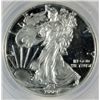 Image 2 : 2009 1 oz. silver PRIVATE MINTAGE US EAGLE struck on a retired