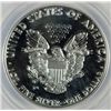 Image 3 : 2009 1 oz. silver PRIVATE MINTAGE US EAGLE struck on a retired