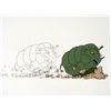 Image 2 : Art Slow Down Cel Original Drawing Herculoids Animation