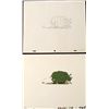 Image 1 : Original Herculoids Drawing Full Steam Animation Cel