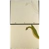 Image 1 : Herculoids Original Feeding Time Animation Cel Drawing