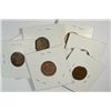 Image 2 : 1900 - 1909 INDIAN HEAD CENTS ALL VF-XF