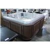 Image 1 : CAL SPA 6 PERSON HOT TUB WITH LOUNGE SEATING, OYSTER OPAL INTERIOR WITH 3 PILLOWS, MAHOGANY