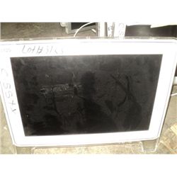 Apple 20" LCD