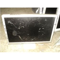 Apple 20" LCD