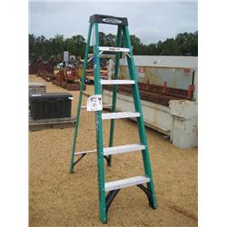 WERNER 6' LADDER